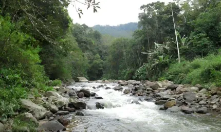 Chácara para Venda em São Bento do Sul, Área Rural de São Bento do Sul, 3 dormitórios, 1 banheiro