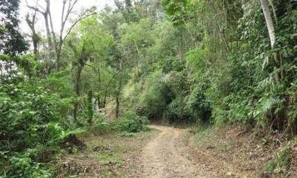Terreno para Venda em São Bento do Sul, Rio Mandióca