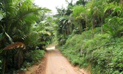 Terreno à venda na Estrada Quiriri, Pirabeiraba, Joinville
