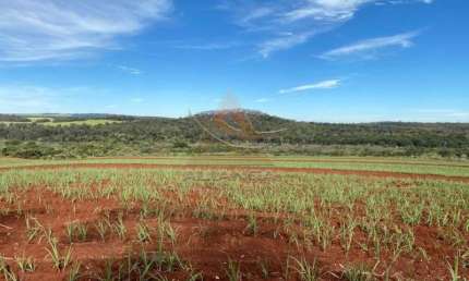 Fazenda à venda na Zona Rural, Ibaté 
