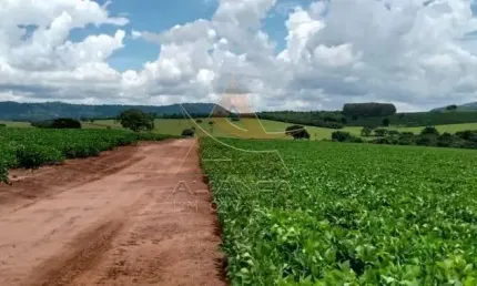 Fazenda à venda no Centro, Itamogi 