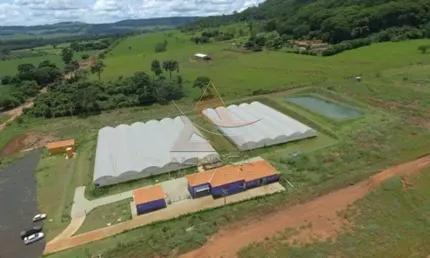 Fazenda à venda no Centro, São Simão 