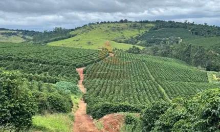 Fazenda à venda na Zona Rural, Oliveira 