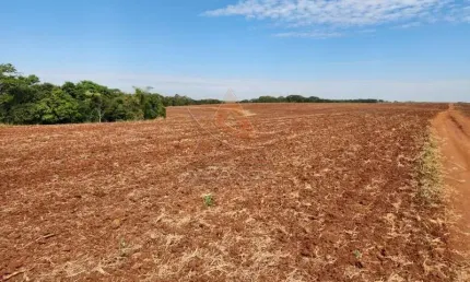 Fazenda à venda na Área Rural de Araraquara, Araraquara 