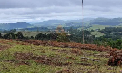 Fazenda à venda na Zona Rural, Santo Antônio do Amparo 