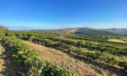 Fazenda à venda na Zona Rural, São Lourenço 