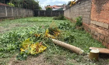 Terreno à venda no Alto da Boa Vista, Ribeirão Preto 