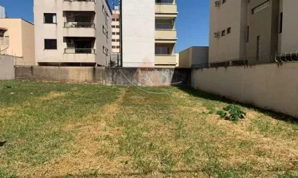 Terreno à venda na Vila Ana Maria, Ribeirão Preto 
