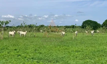 Fazenda à venda na Zona Rural, Jaíba 