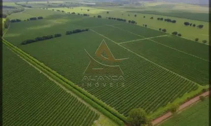 Fazenda à venda na Zona Rural, Tiros 