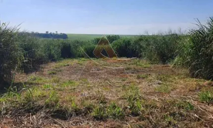 Terreno à venda na Reserva Macaúba, Ribeirão Preto 
