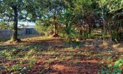 Terreno comercial para alugar no Ribeirânia, Ribeirão Preto 