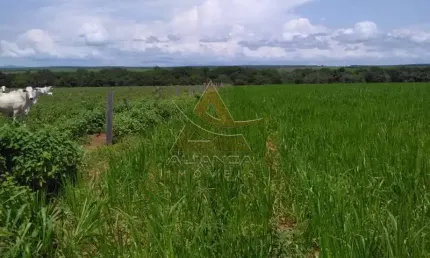 Fazenda à venda no Setor Central, Guaraí 