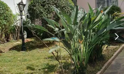 Casa com 2 quartos à venda na Rua Rita Joana de Sousa, --, Brooklin, São Paulo