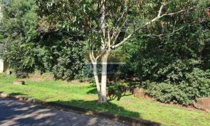Terreno / Lote / Condomínio à venda no Bairro Condomínio Buena Vista com 390 m² de área privativa