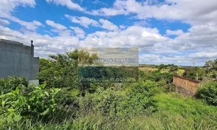 Terreno / Lote / Condomínio à venda no Bairro Protásio Alves com 250 m² de área privativa