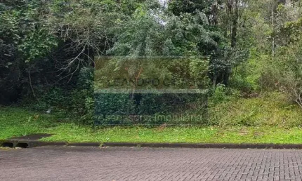 Terreno / Lote / Condomínio à venda no Bairro Condomínio Buena Vista com 330 m² de área privativa