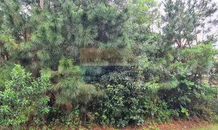 Terreno / Lote / Condomínio à venda no Bairro Condomínio Buena Vista com 362 m² de área privativa