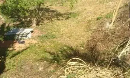 Terreno para alugar, 2360 m² por R$ 18.573,43/mês - Jardim Jamaica - Santo André/SP