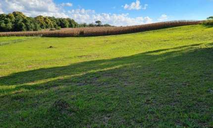 SÍTIO no CAMPO ALEGRE com 0 quartos para VENDA, 0 m²