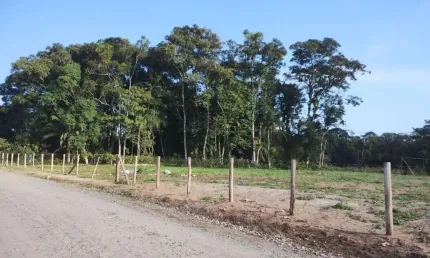 TERRENO no AREIAS PEQUENAS com 0 quartos para VENDA, 15539 m²