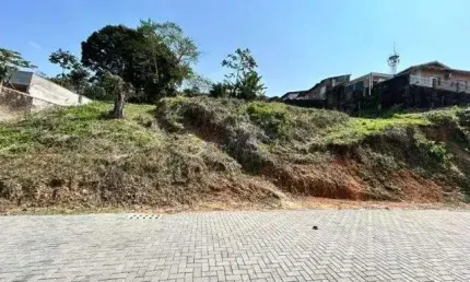 Terreno no floresta com 0 quartos para venda, 492 m²