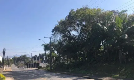 Terreno no bom retiro com 0 quartos para venda, 5056 m²