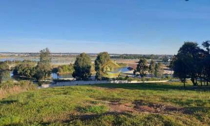 Terreno à venda, 1000 m² por R$ 790.000,00 - Jardim Amélia - Pinhais/PR