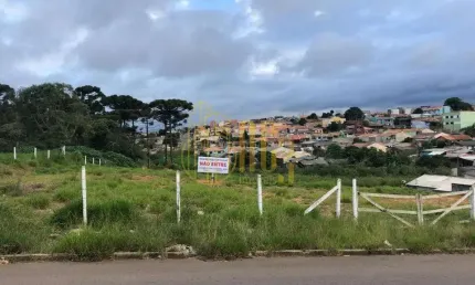 Terreno à venda na Rua Rio Madeira, Iguaçu, Fazenda Rio Grande