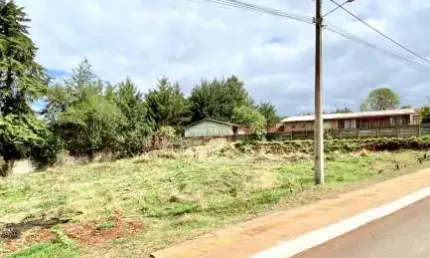 Terreno à venda no Cará-cará, Ponta Grossa 
