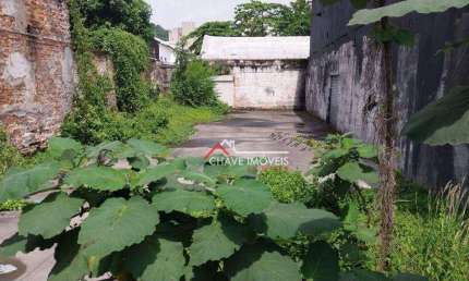Terreno, 396 m² - venda por R$ 1.500.000,00 ou aluguel por R$ 4.500,00/ano - Paquetá - Santos/SP