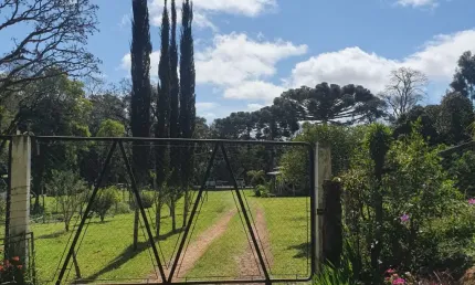 Chácara / sítio com 4 quartos à venda no Rio Mauricio, Mandirituba 