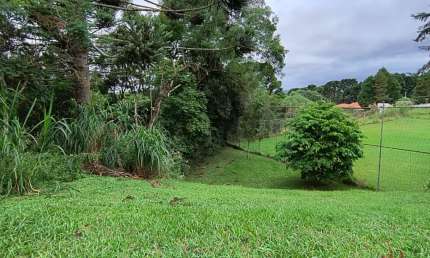Chácara / sítio à venda em Ganchinho, Mandirituba 