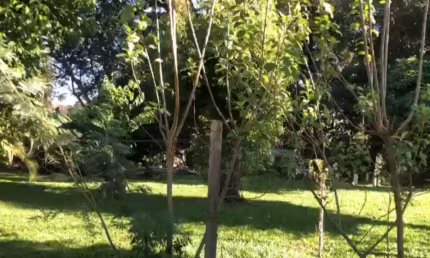 Terreno à venda na Rua Marechal Cândido Rondon, Água Verde, Laranjeiras do Sul