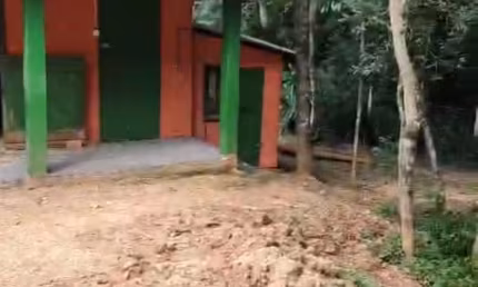 Chácara / sítio com 2 quartos à venda em Ganchinho, Mandirituba 