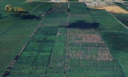 Terreno à venda, ÁREA INDUSTRIAL -  680.000 m² - Volta Grande - Navegantes/SC