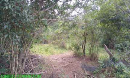 Chácara / sítio à venda na Estrada Geral Macega/Maratá, s/n, Macega, Maratá, 50600 m2 por R$ 230.000
