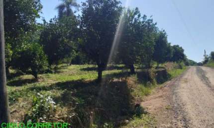 Chácara / sítio à venda na Estrada S. Jose do Maratá, s/n, Centro, São José do Sul por R$ 220.000
