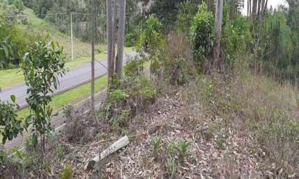 Terreno comercial à venda na Br 386 - Km. 393, Centro, Tabaí