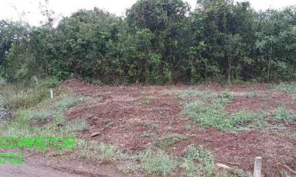 Terreno à venda na Estrada Geral Linha Esperança, s/n, Esperança, Maratá por R$ 120.000