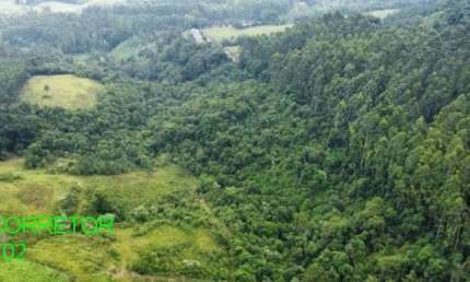 Chácara / sítio com 4 quartos à venda na Estrada Encruzilhada do Maratá, s/n, Esperança, Maratá, 153 m2 por R$ 570.000