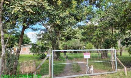 Chácara / sítio com 3 quartos à venda na Estrada do Paquete, 101, Zona Rural, Capela de Santana, 150 m2 por R$ 250.000