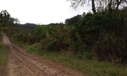 Chácara / sítio à venda na Estrada L. Pinheiro Machado/nova Holanda, Centro, Brochier