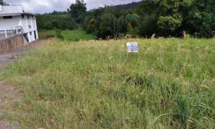 Terreno comercial à venda na Ers 124 - Km 7, Centro, Pareci Novo