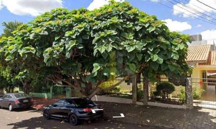 Terreno à venda na Rua Visconde do Rio Branco, 3118, Centro, Cascavel