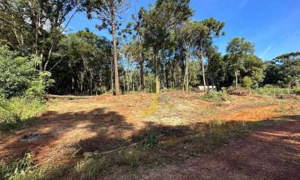 Chácara / sítio com 1 quarto à venda na Núcleo Colonia Barreiro, 17, Colonia Barreiro, Cascavel