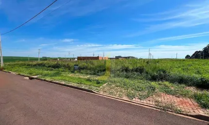 Terreno à venda na Rua Beatriz Scott Rota, 844, Bela Vista, Cascavel