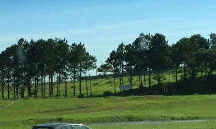 Terreno comercial para alugar na Castelo Branco Km90,5, 90, Vila Artura, Sorocaba por R$ 9.500