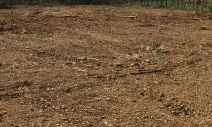 Ponto comercial à venda na Rua Alameda Dos Canarios, Zona Rural, Jaboticatubas