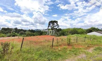 Terreno à venda na Vila Rivabem, Campo Largo 